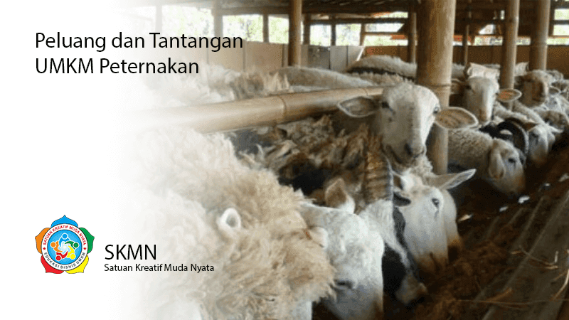Peluang dan Tantangan UMKM Sektor Peternakan
